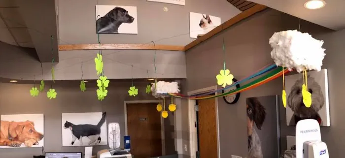 Gentle Doctor Animal Hospital Picture 7