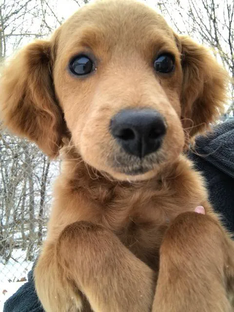 Gentle Doctor Animal Hospital Picture 9