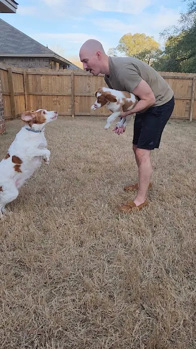 Sirius Veterinary Orthopedic Center Picture 7