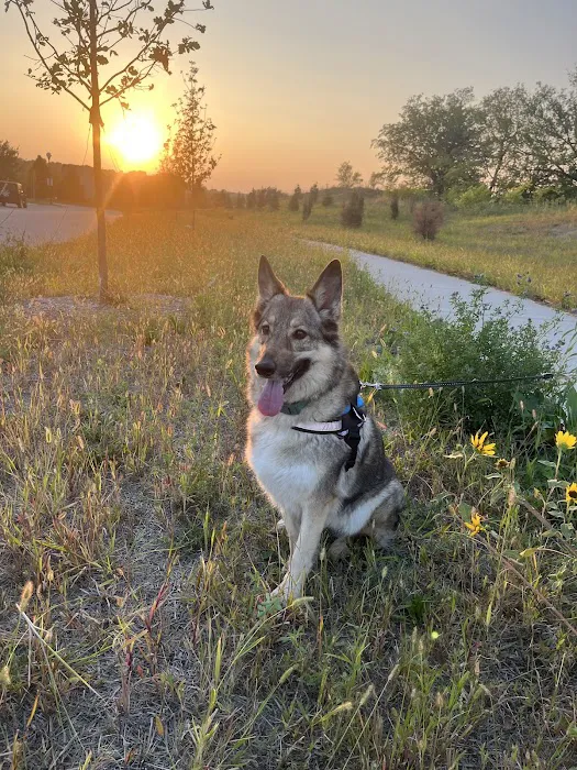 Five Elements Veterinary Alternatives Picture 3