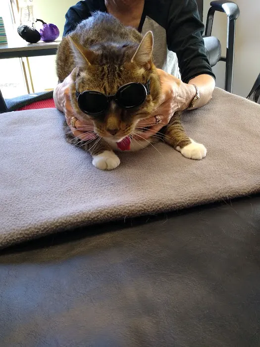 Five Elements Veterinary Alternatives Picture 5