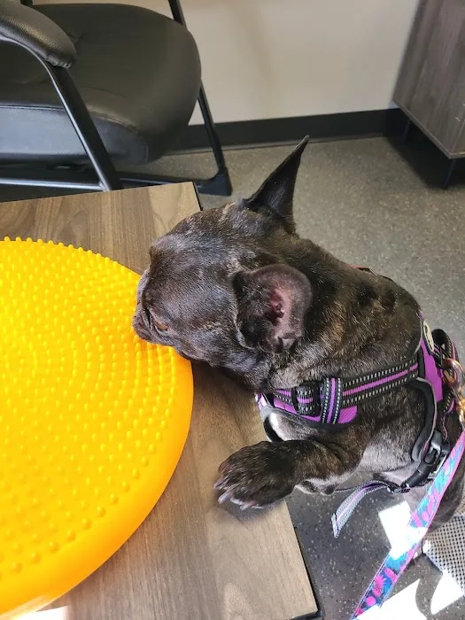 Five Elements Veterinary Alternatives Picture 7