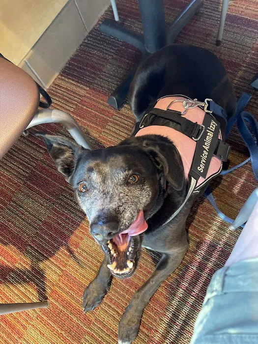 Nebraska Dentistry and Oral Surgery for Animals Picture 7