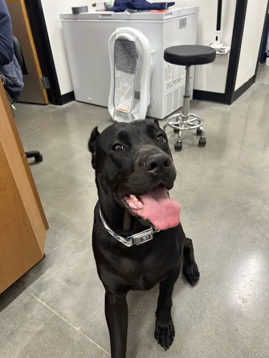 PetSmart Veterinary Services - West Maple Picture 4