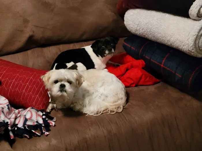 Elkhorn Animal Hospital Picture 2