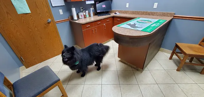 Elkhorn Animal Hospital Picture 1