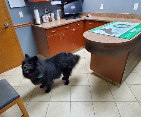 Elkhorn Animal Hospital