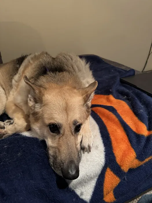 Elkhorn Animal Hospital Picture 6