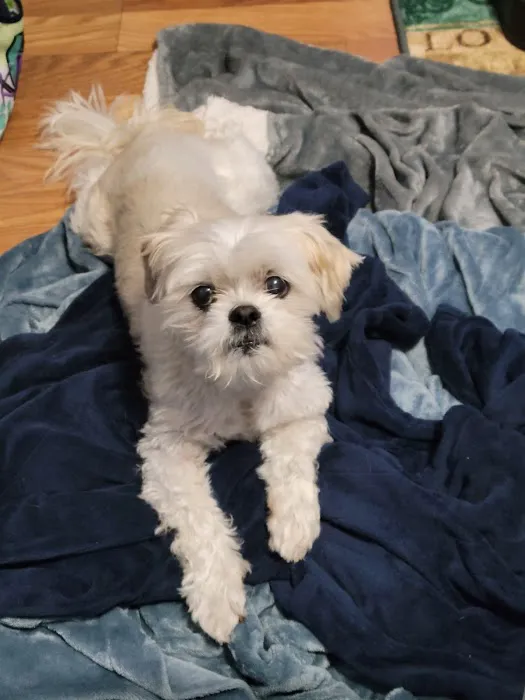 Elkhorn Animal Hospital Picture 7