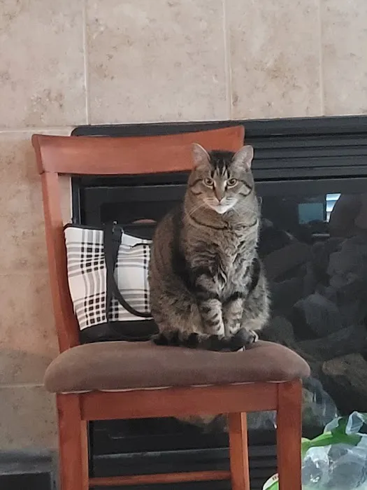 Elkhorn Animal Hospital Picture 3