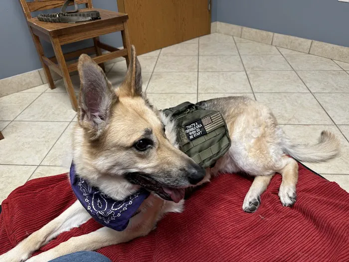 Elkhorn Animal Hospital Picture 9