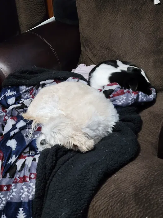 Elkhorn Animal Hospital Picture 10