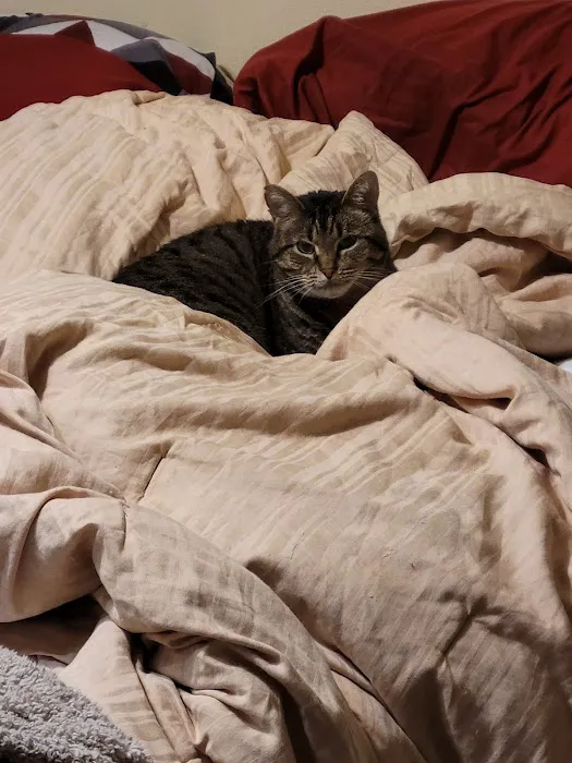 Elkhorn Animal Hospital Picture 8