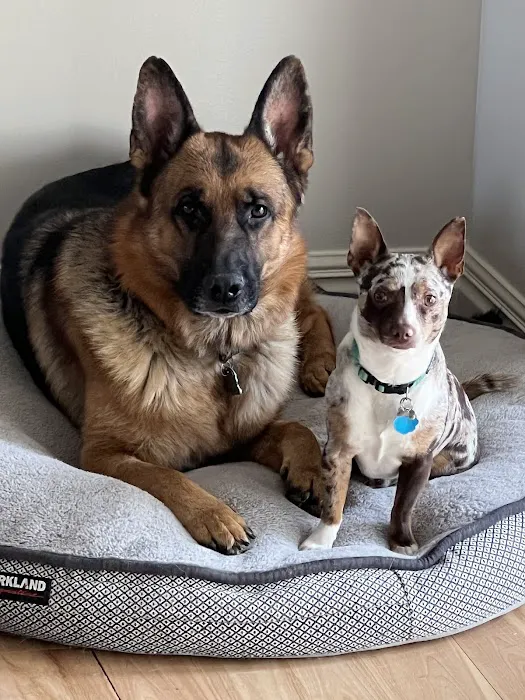 Animal Center West Omaha Picture 1