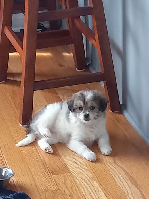 Animal Center West Omaha Picture 3