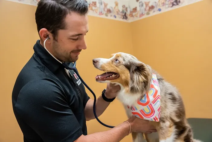 Animal Center West Omaha Picture 2