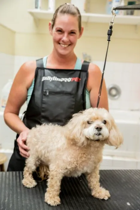 Animal Center West Omaha Picture 7