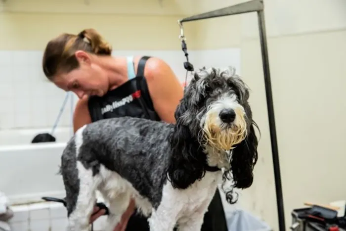 Animal Center West Omaha Picture 9