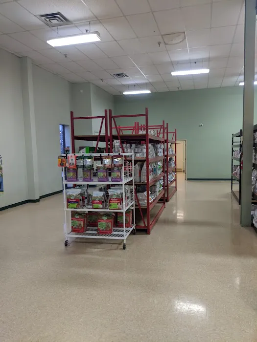 Best Care Pet Hospital Picture 9