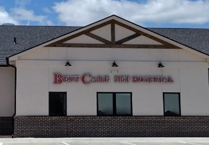 Best Care Pet Hospital Picture 10