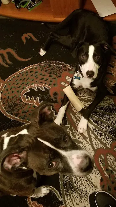 Animal Clinic Suburban Picture 3