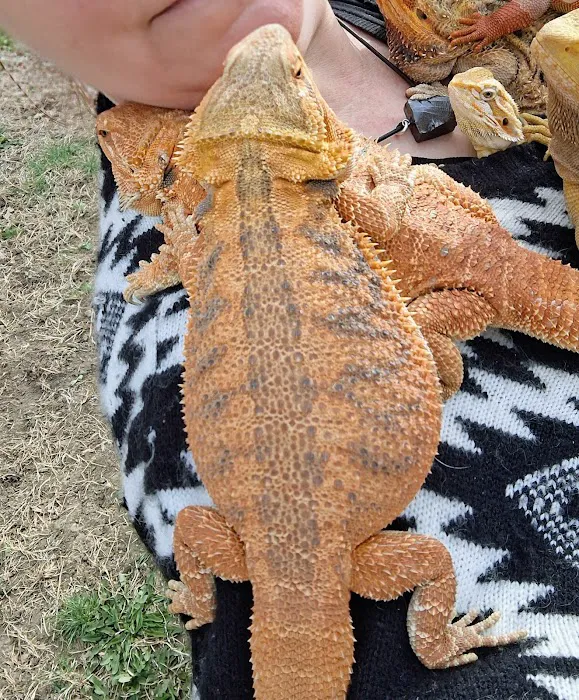 Prairie Lane Veterinary Hospital Picture 3