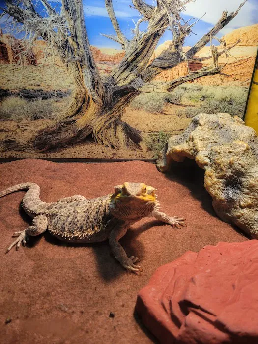 Prairie Lane Veterinary Hospital Picture 4