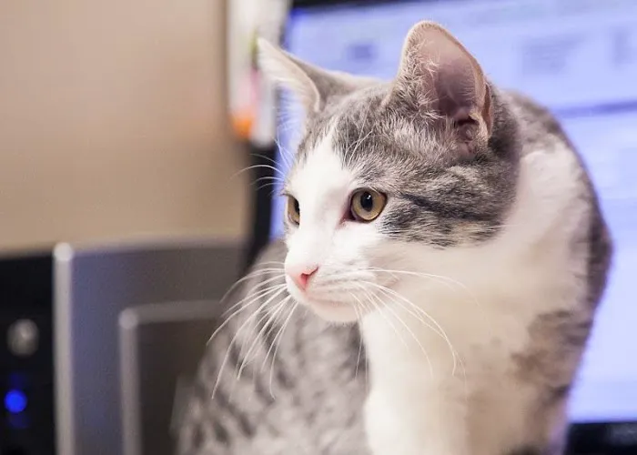 Prairie Lane Veterinary Hospital Picture 1