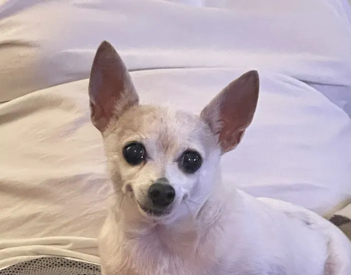 Prairie Lane Veterinary Hospital Picture 2