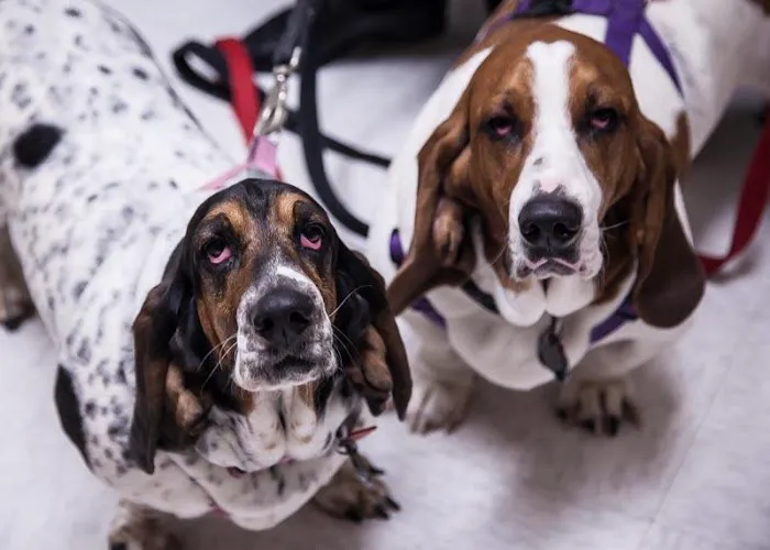 Prairie Lane Veterinary Hospital Picture 6