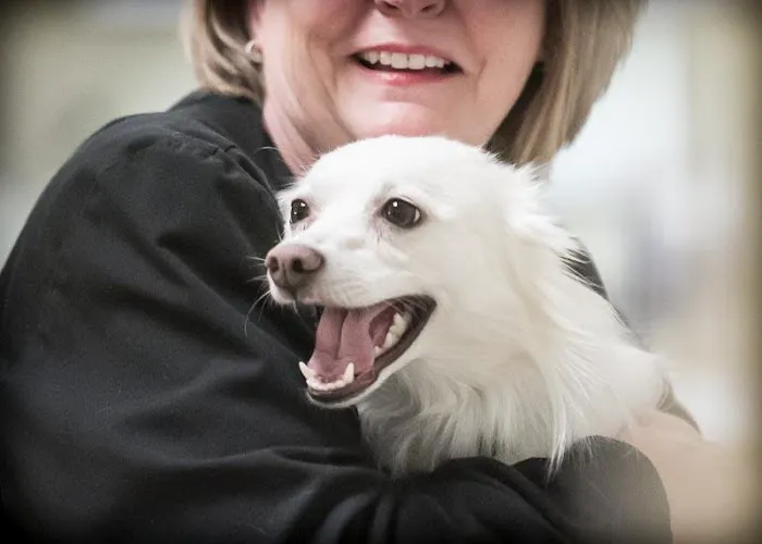 Prairie Lane Veterinary Hospital Picture 10