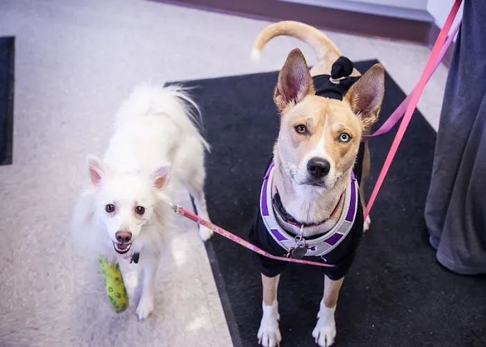 Prairie Lane Veterinary Hospital Picture 9