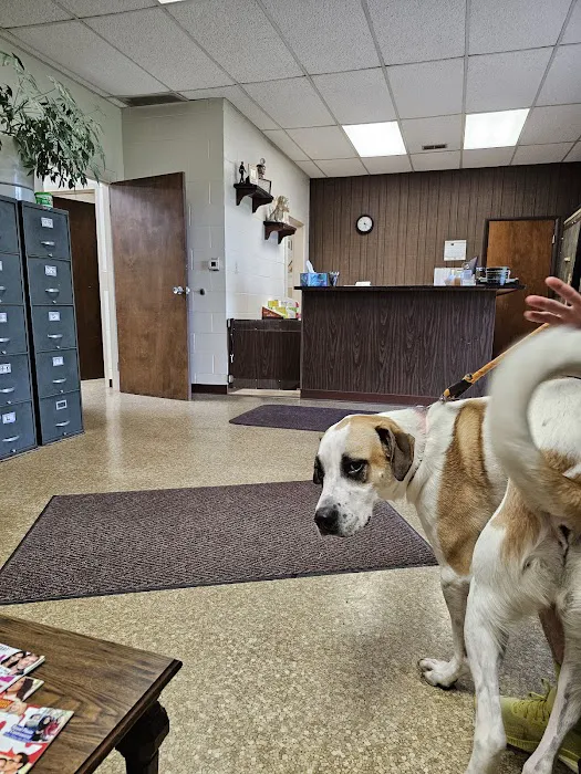 Verner Veterinary Clinic Picture 1