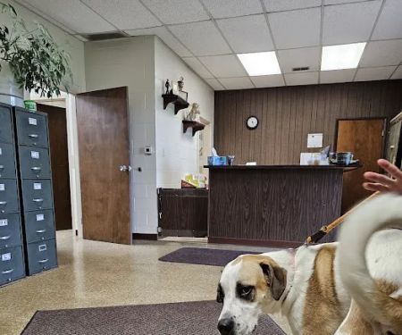 Verner Veterinary Clinic