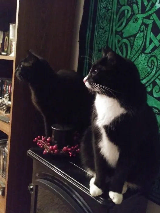 Verner Veterinary Clinic Picture 3