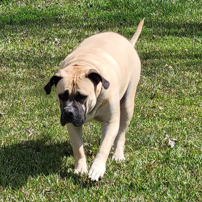 Verner Veterinary Clinic Picture 4