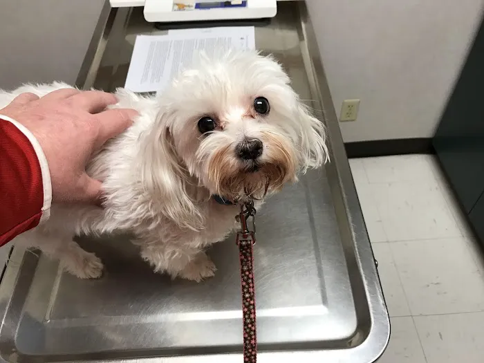 Animal Medical Clinic of Fremont Picture 2