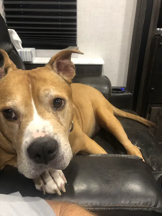 Animal Medical Clinic of Fremont Picture 1