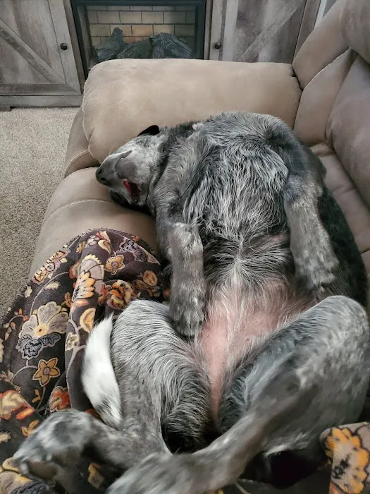 Animal Medical Clinic of Fremont Picture 6