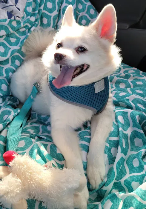 Animal Medical Clinic of Fremont Picture 4