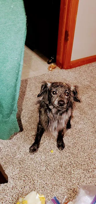 Animal Medical Clinic of Fremont Picture 5