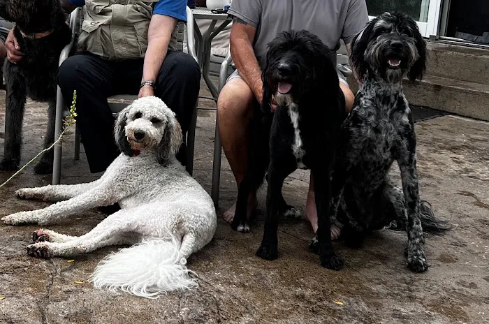 Animal Medical Clinic of Fremont Picture 10