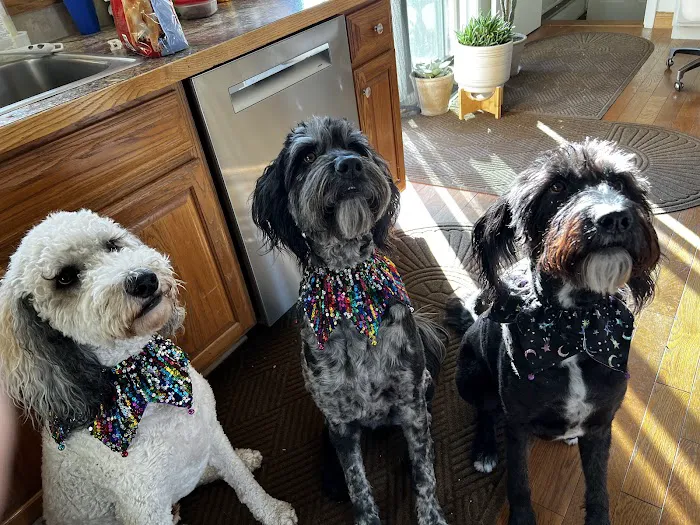 Animal Medical Clinic of Fremont Picture 7