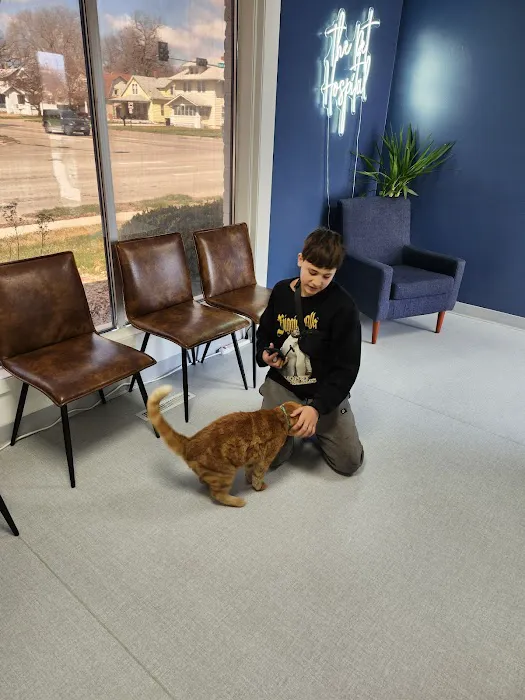 The Pet Hospital Picture 2