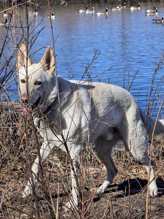 The Pet Hospital Picture 5