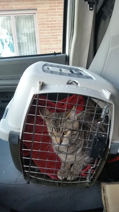 The Pet Hospital Picture 6