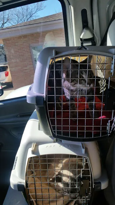 The Pet Hospital Picture 7