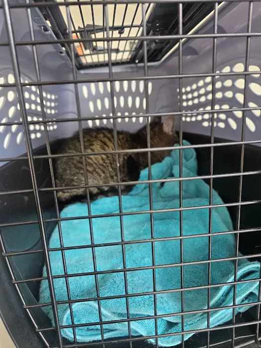 The Pet Hospital Picture 9