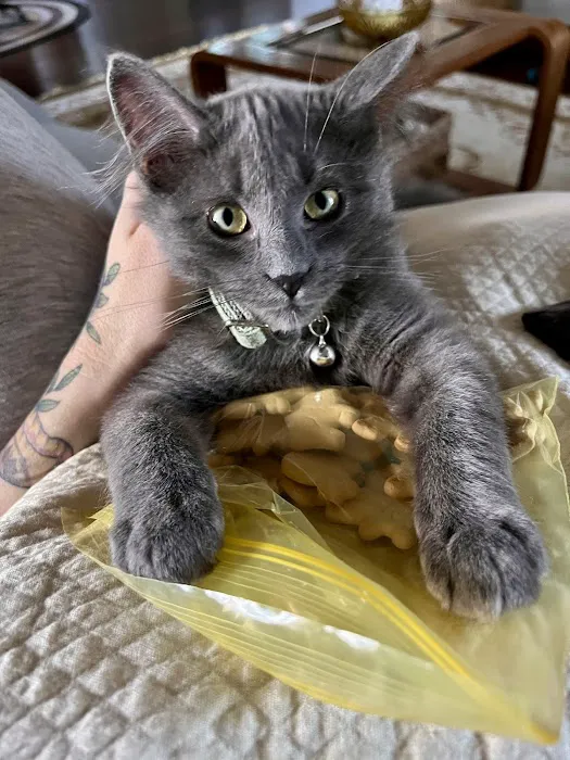 Valley Animal Hospital Picture 1