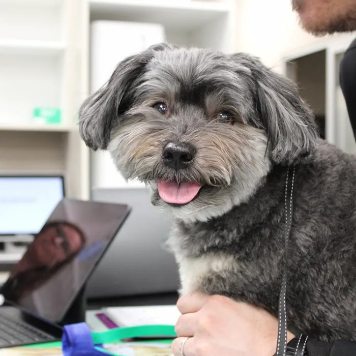 Valley Animal Hospital Picture 5